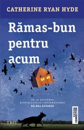 Rămas bun pentru acum