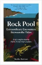 Rock Pool: Extraordinary Encounters Between