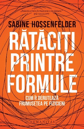 Rătăciți printre formule.Cum îi derutează frumusețea pe fizicieni