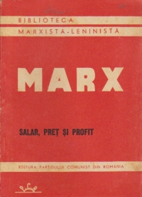 Salar, pret si profit