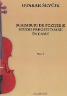 Schimburi pozitie studii pregatitoare game