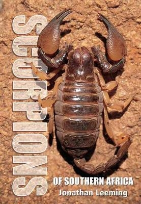 Scorpions of South Africa