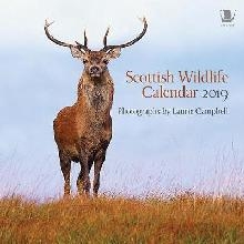 Scottish Wildlife Calendar 2019