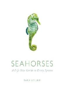 Seahorses