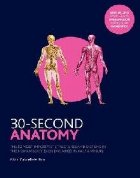 30-Second Anatomy