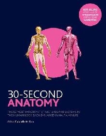 30-Second Anatomy