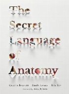 Secret Language Anatomy