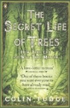 Secret Life Trees