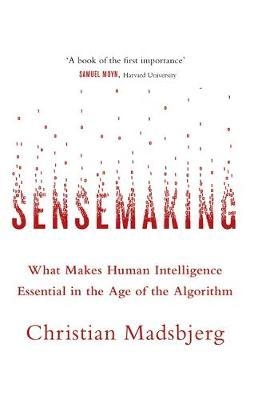 Sensemaking