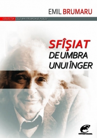 Sfisiat de umbra unui inger