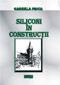 SILICONI IN CONSTRUCTII