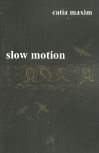 Slow motion