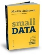 Small Data Indicii marunte care