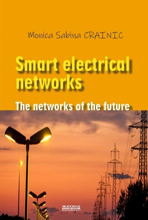 Smart electronical networks - The networks of the future