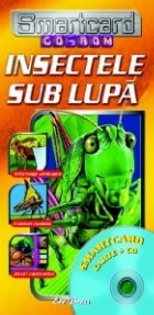 Smartcard - Insectele sub lupa