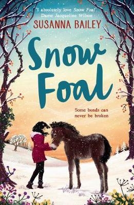 Snow Foal - the perfect Christmas book for children