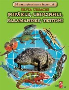 Soparle, crocodili, salamandre, tritoni