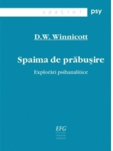 Spaima de prabusire - Explorari psihanalitice