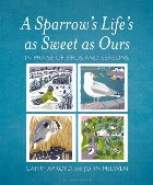 Sparrow\'s Life\'s as Sweet as Ours