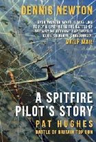 Spitfire Pilot\ Story