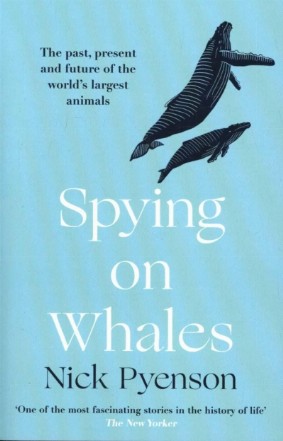 Spying on Whales