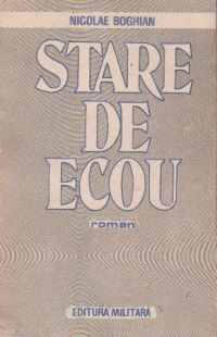 Stare de ecou