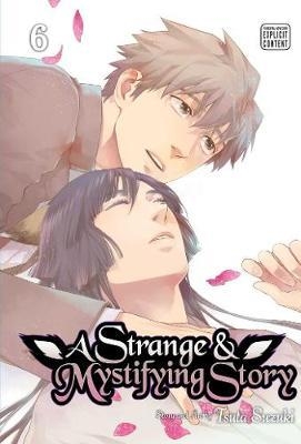 Strange and Mystifying Story, Vol. 6