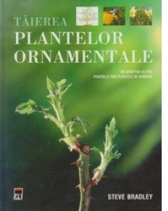 Taierea plantelor ornamentale