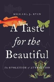 Taste for the Beautiful