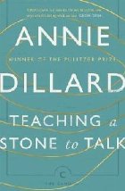 Teaching a Stone to Talk