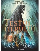 Testul fierului (MAGISTERIUM vol