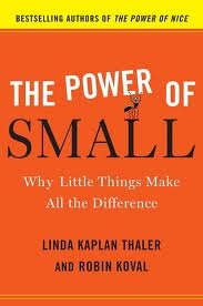 THE POWER OF SMALL: WHY LITTLE THINGS MAKE ALL THE DIFFERENCE