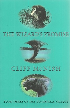 The Wizard s Promise