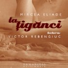 La tiganci (Audiobook)