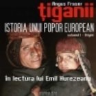 Tiganii Istoria unui popor european