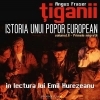 Tiganii. Istoria unui popor european. Volumul II - Primele migratii (Audiobook)