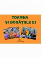 Toamna bogatiile Set planse educative