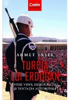 Turcia lui Erdogan