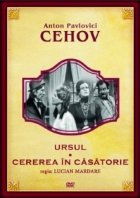 Ursul. Cerere in casatorie