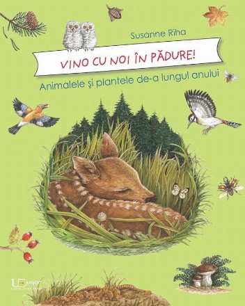 Vino cu noi in padure! Animalele si plantele de-a lungul anului