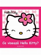 Ce viseaza Hello Kitty?