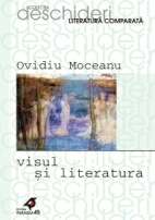 VISUL SI LITERATURA