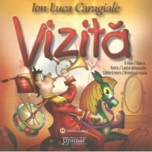 Vizita