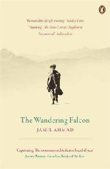 Wandering Falcon