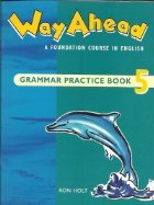 Way Ahead (Level Grammar Practice