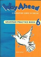 Way Ahead (Level Grammar Practice