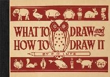 What to Draw and How to Draw It