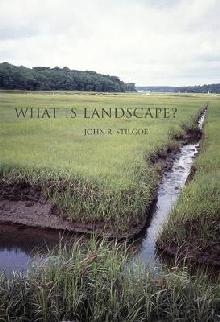 What Is Landscape?