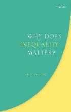 Why Does Inequality Matter