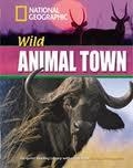 Wild Animal Town. Intermediate B1 (Contine DVD)